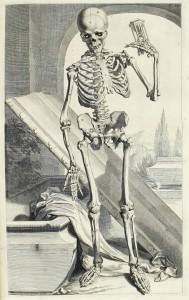 Plate 87. Engraving of a human skeleton in an allegorical pose, likely influenced by Vesalius's De humani corporis fabrica (1543).