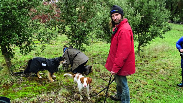 Adrian Utter with ogs that help locate the truffles to determine when they are ripe. Picture: Karin McLean.