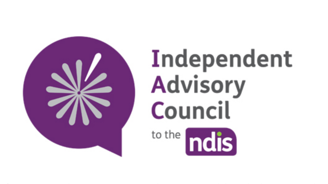Lead investigator Anne Kavanagh appointed to NDIS ICA