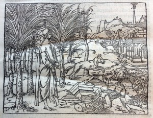 Poliphilo encounters a wolf in his dreamscape (1546)