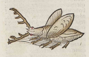 Eight-legged flying beetle with antlers 