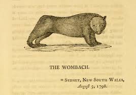 wombat-bewick-4th-edition