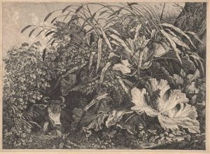 Carl Wilhelm Kolbe, The cow in the reeds, c.1800, etching.