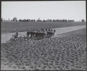 Disc ploughing on New South Wales farm, 1939