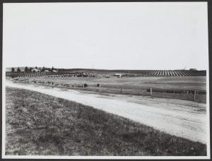 Road scene, Sydney Road Bathurst showing orchard Country, 1939