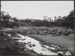 Pastoral scene, Southern District, 1943