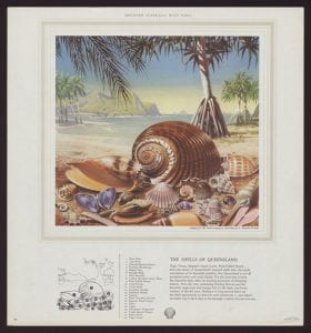 Shell posters
