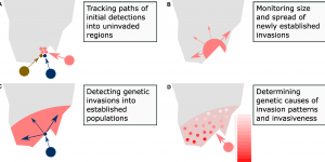 Improving mosquito control strategies with population genomics