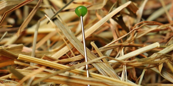 image of a needle in haystack, via Pixabay